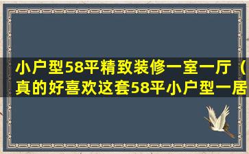 小户型58平精致装修一室一厅（真的好喜欢这套58平小户型一居室, 简约的美感!）